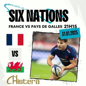 Match des six nations rugby france vs pays de galles vendredi 31 janvier